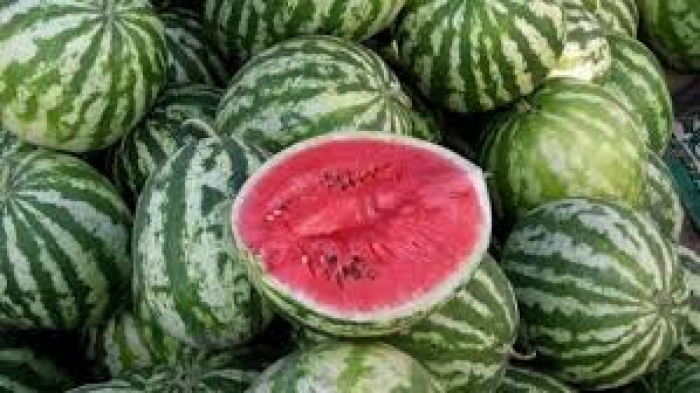 Кавуни на закарпатських ринках: скільки просять та чи безечно куштувати (ВІДЕО)