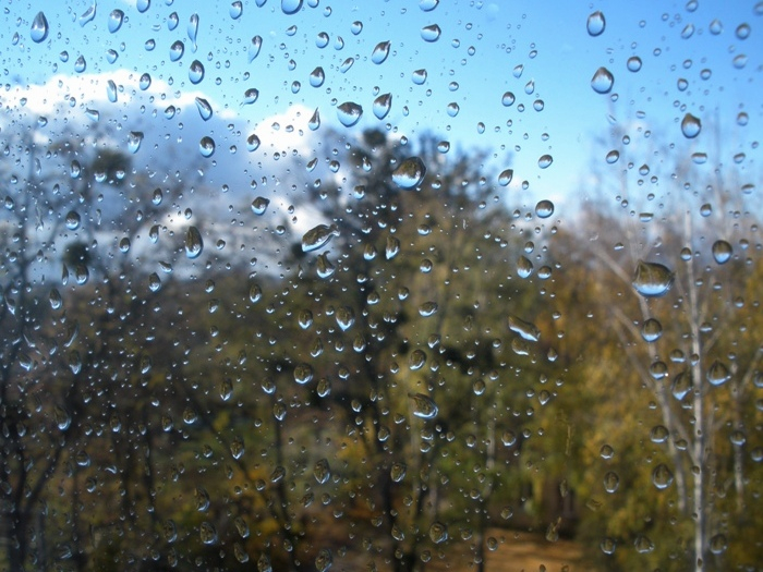 Закарпатців попереджають про негоду 