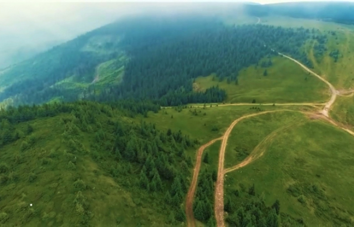 Прогноз погоди в Закарпатті на неділю