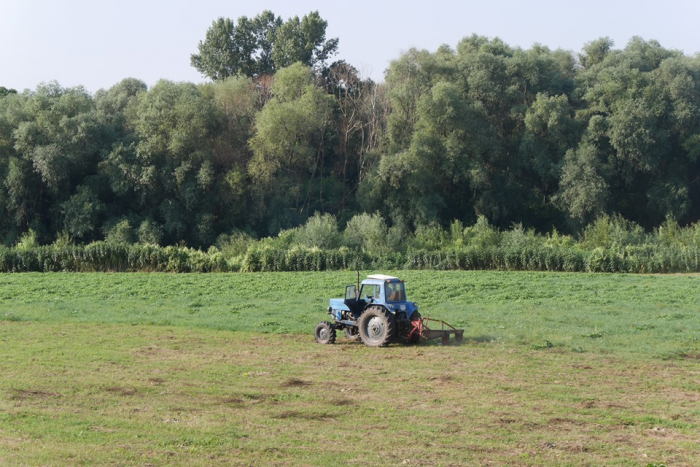 Комунальники косять зелені зони в парках, скверах та набережних Ужгорода