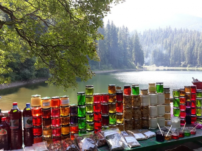 Дослідження кольорового меду з Синевира показали – він не відповідає нормам солодкого продукту