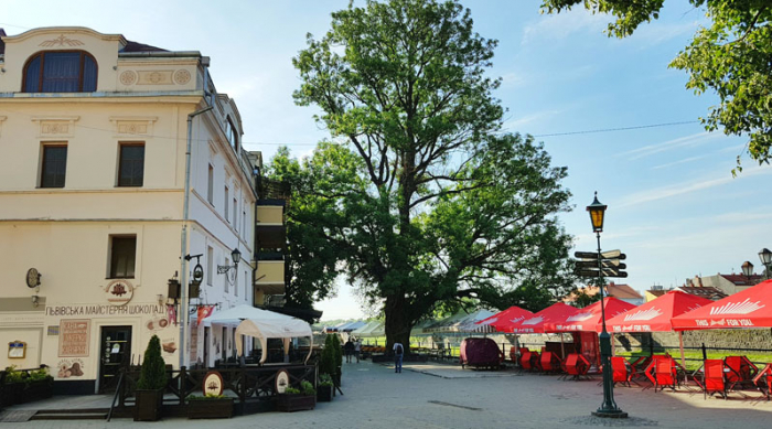 В Ужгороді є дерева, яким 400 років (ВІДЕО)