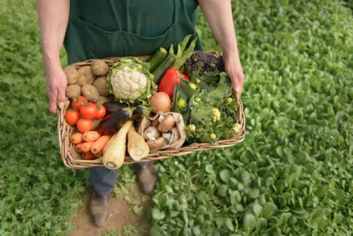 Що їдять закарпатці: чи можна зараз знайти органічні продукти?