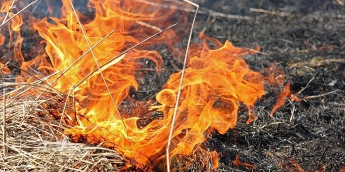 На Закарпатті оголошено штормове попередження