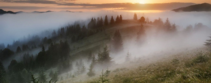 На Закарпаття йде справжня осінь – з дощем, туманами та похолоданням