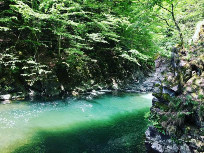 Зловити літо за хвіст: де на Закарпатті ще можна влаштувати відпочинок по-літньому