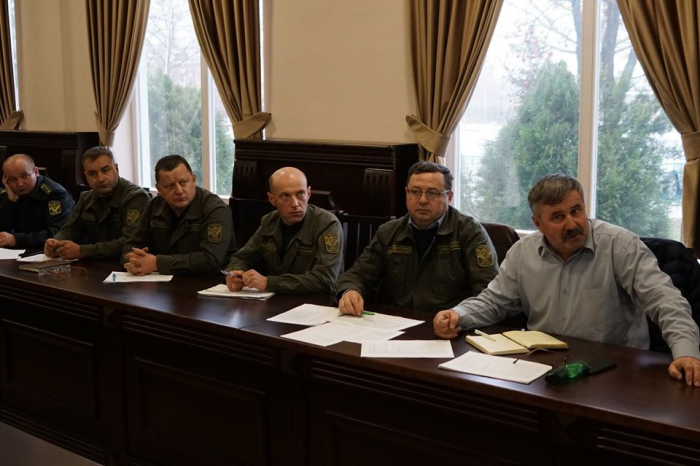 На Закарпатті створено комісію, яка перевірить діяльність проведення лісозаготівельних робіт