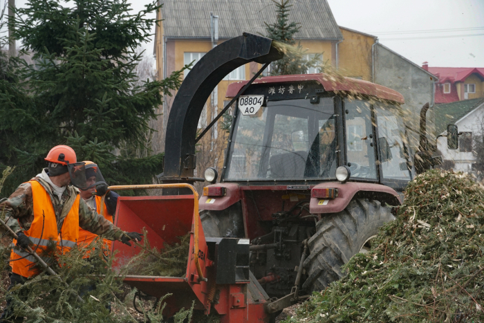 В Ужгороді новорічні ялинки, винесені на смітники, подрібнюють на щепу