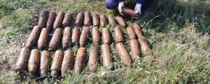 Грибар знайшов боєприпас у лісі на Ужгородщині
