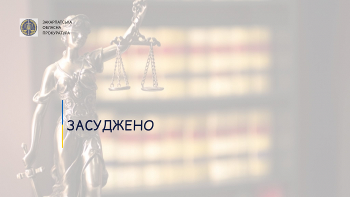 За побиття брата досмерті мешканця Виноградівщини засуджено до 9 років ув’язнення