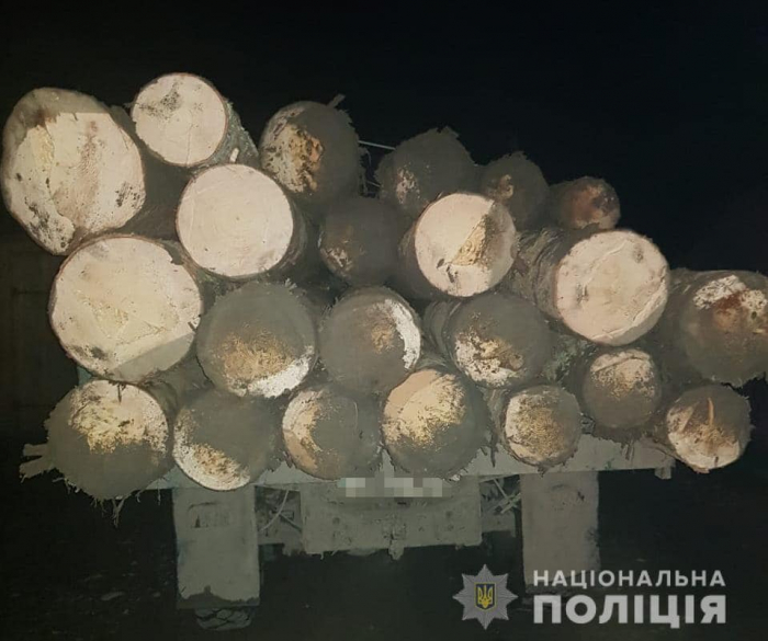 На Рахівщині працівники поліції затримали вантажівку з нелегальною деревиною 
