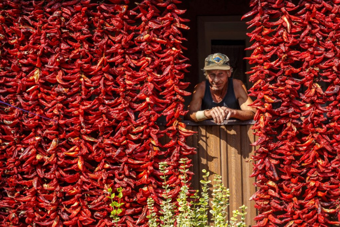 Фото: Сергій Гудак