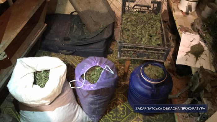 На Мукачівщині викрито канал оптового розповсюдження особливо небезпечних наркотиків