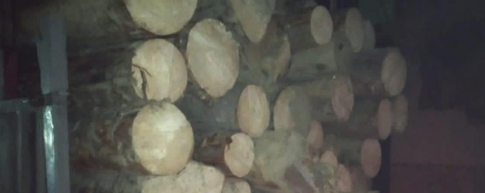 Чергову вантажівку з нелегальною деревиною зупинили правоохоронці на Закарпатті
