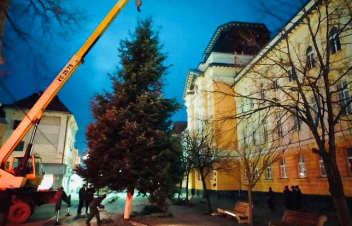 Перші в Україні: в Берегові вже встановили новорічну ялинку (ФОТОФАКТ)
