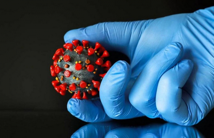 За добу на Закарпатті шість летальних випадків від COVID-19