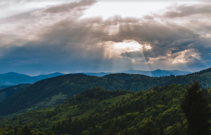 Визначено переможців відбору проєктів регіонального розвитку. Хто пройшов із Закарпаття?