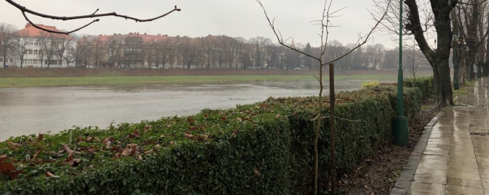 У річках Закарпаття прогнозують підняття рівнів води
