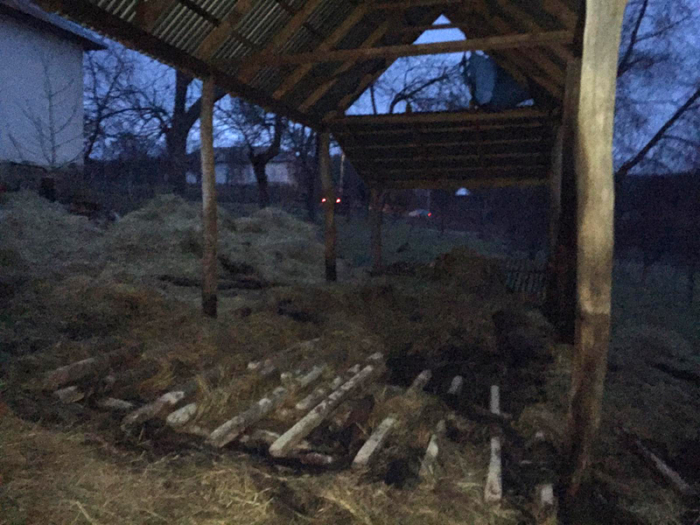 На Іршавщині дитячі пустощі з вогнем закінчились пожежею в навісах з сіном
