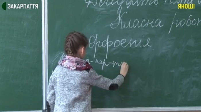 Проєкт державного стандарту базової середньої освіти презентували в селі Яноші на Закарпатті