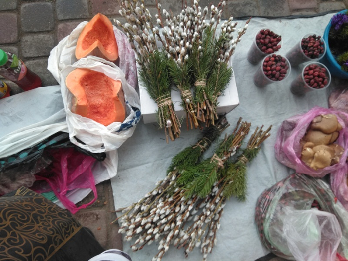 Весна на порозі: закарпатці вже готують вербові котики для освячення