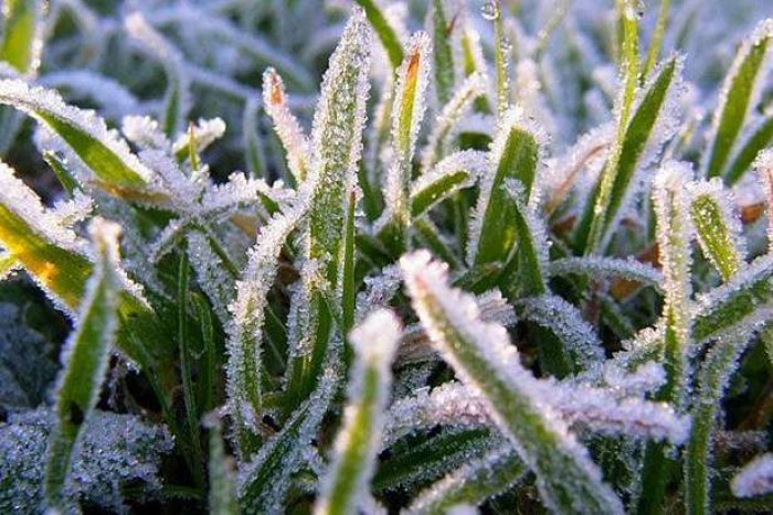 На Закарпатті оголошено штормове попередження