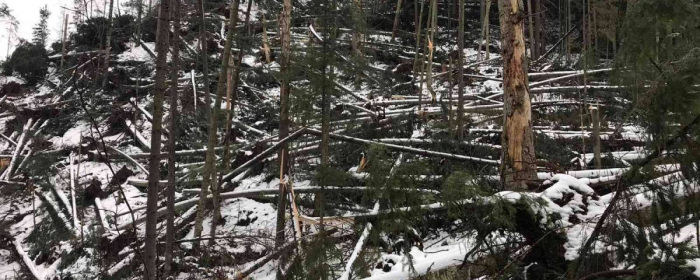 На Міжгірщині стихія наробила негоди