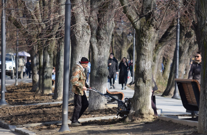 На набережній Незалежності в Ужгороді облаштовують газони
