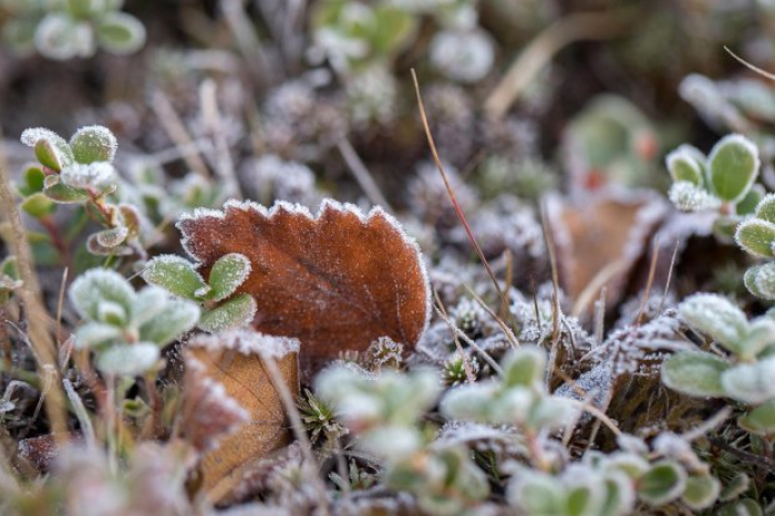На Закарпаття насуваються морози