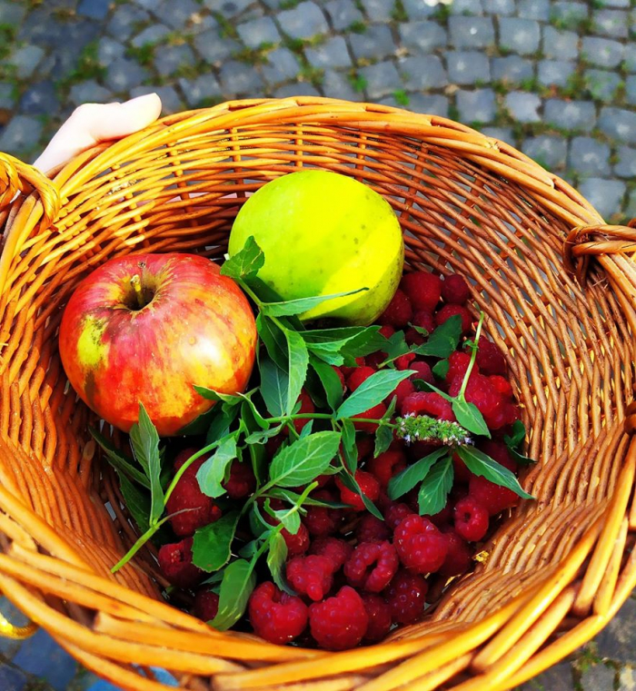 Як закарпатцям підтримати малий бізнес?