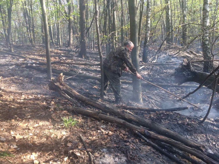 Невідомі намагалися спалити ліс на Хустщині