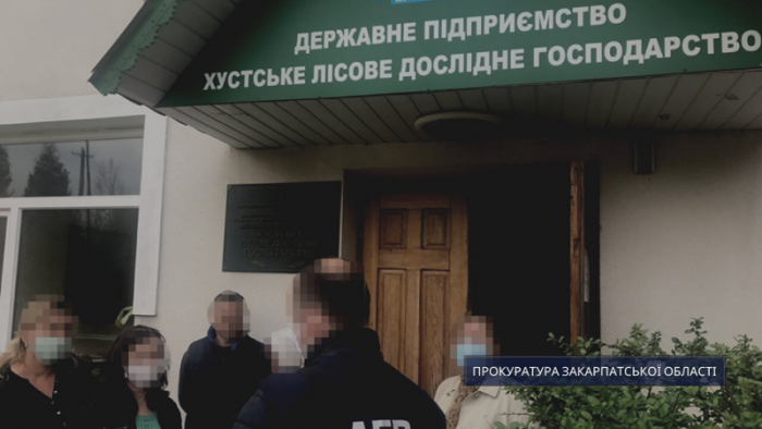 На Закарпатті викрито масштабну схему вирубування державних лісів у трьох лісництвах 