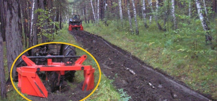 На Закарпатті вберегти ліс від вогню допомагають мінералізовані смуги