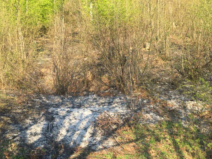 На Тячівщині спалювання сухої трави призвело до загибелі жінки