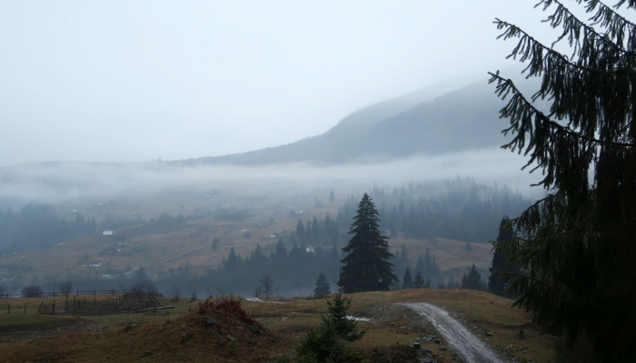 Прогноз погоди в Закарпатті на середу