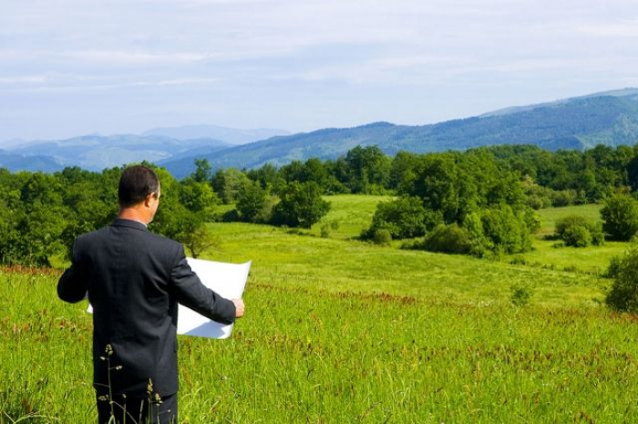На Закарпатті прокуратура взялася за держреєстратора та жінку, які незаконно привласнили 1 га землі