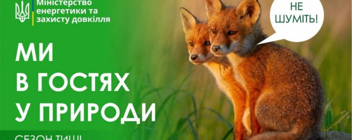 Сезон тиші в Закарпатських лісах: дотримуйтесь обмежень і не галасуйте
