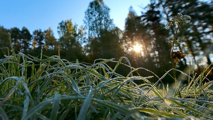 Зміна погоди на Закарпатті: опади у вигляді дощу з переходом у мокрий сніг та заморозки