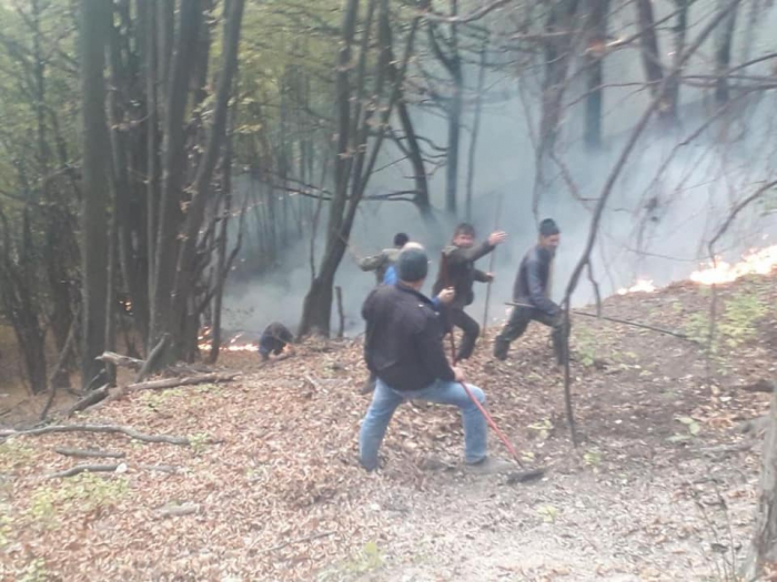 Лісівники, місцеві жителі та рятувальники Тячівщини – пліч-о-пліч на варті лісів (ФОТО)