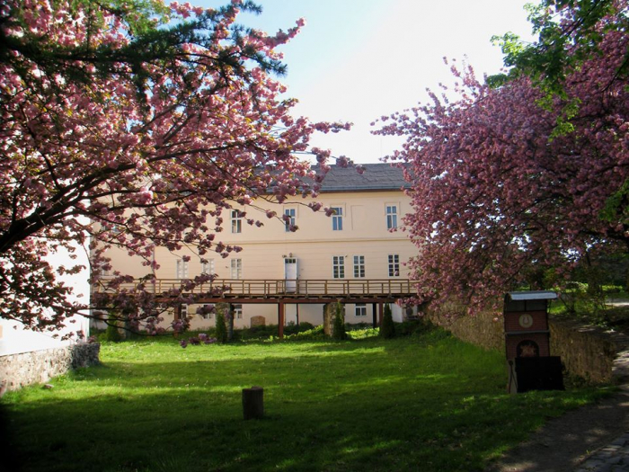 Ужгородський замок навесні зачаровує красою (ФОТОРЕПОРТАЖ)