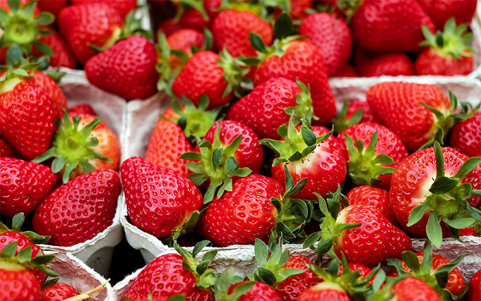 Закарпатські фермери чекають врожаї полуниці: чи буде кому її продавати