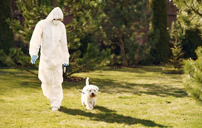 Обов’язкові маски та заборона прогулянок: що зміниться для закарпатців із посиленням обмежень?