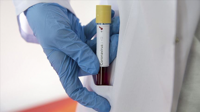 COVID-19 в Закарпатті: кількість інфікованих наближається до 400, зафіксовано 9 смертей