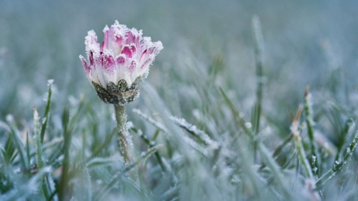 Погода на тиждень: на Закарпатті буде тепло, але вночі можливі заморозки