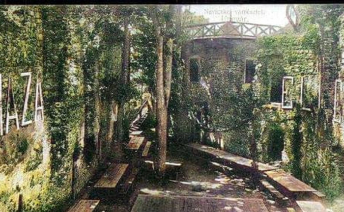 Невицький замок минулої доби у кольорі: новий погляд на пам’ятку