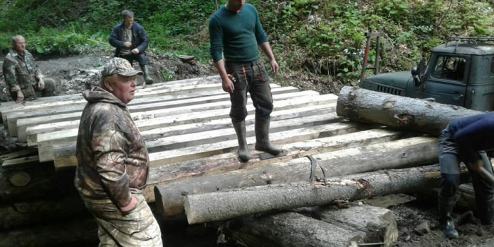 Як на Закарпатті розвивають лісову інфраструктуру? 