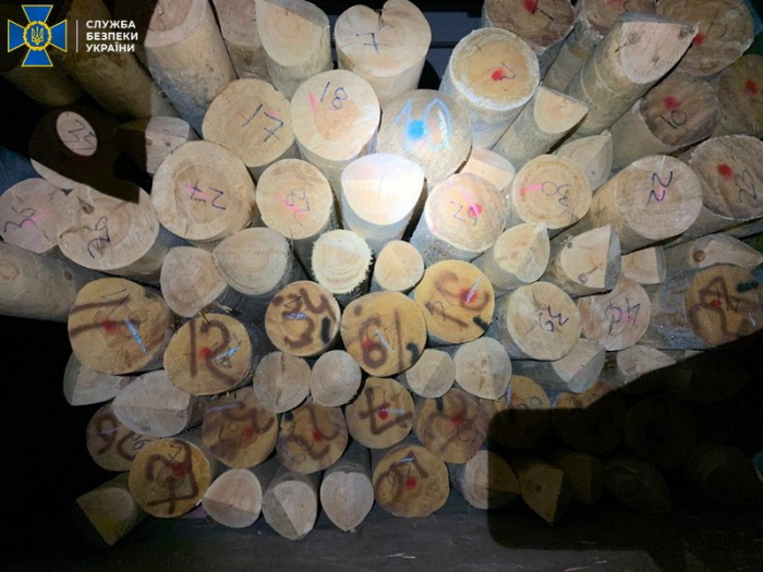 На Закарпатті правоохоронці викрили спробу контрабанди лiсу до Євросоюзу