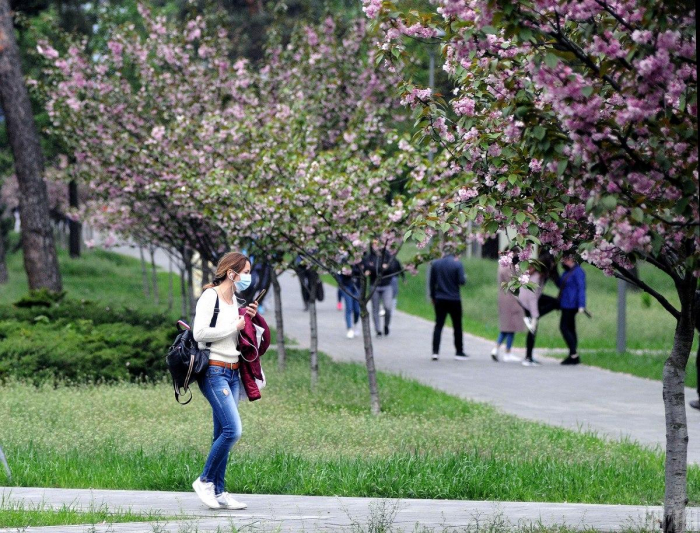 МОЗ оприлюднило правила відвідування парків та перукарень після послаблення карантину