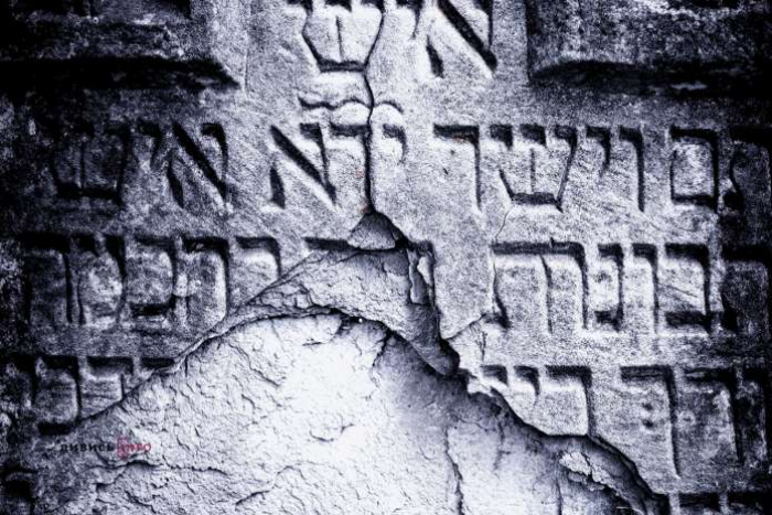 Сторінка в історії Закарпаття: таємниці єврейських кладовищ (ВІДЕО)