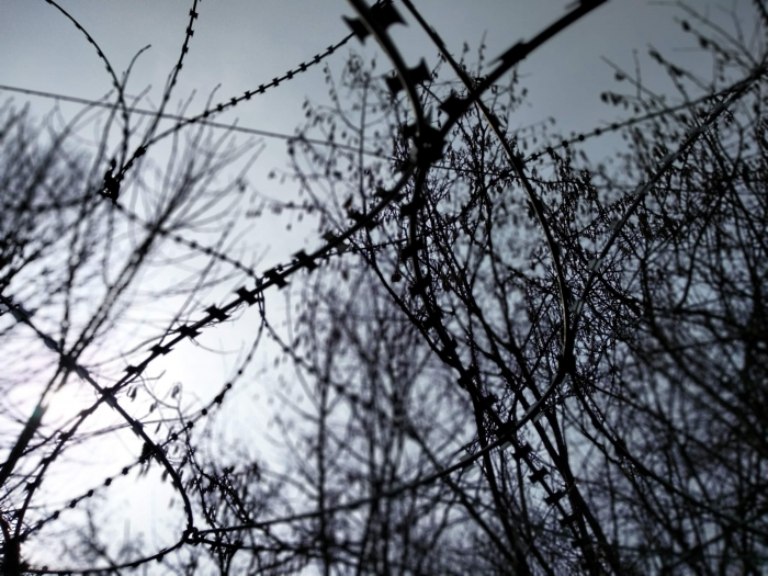 Ціна контрабанди: як штрафують в Закарпатті за спробу порушення держкордону